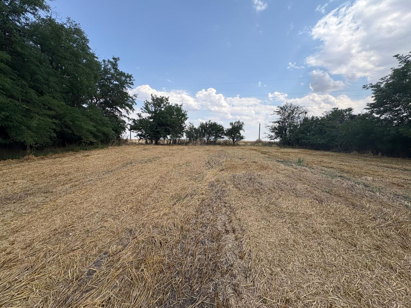 Teren intravilan 2580 mp - Hagiesti - Poză 3