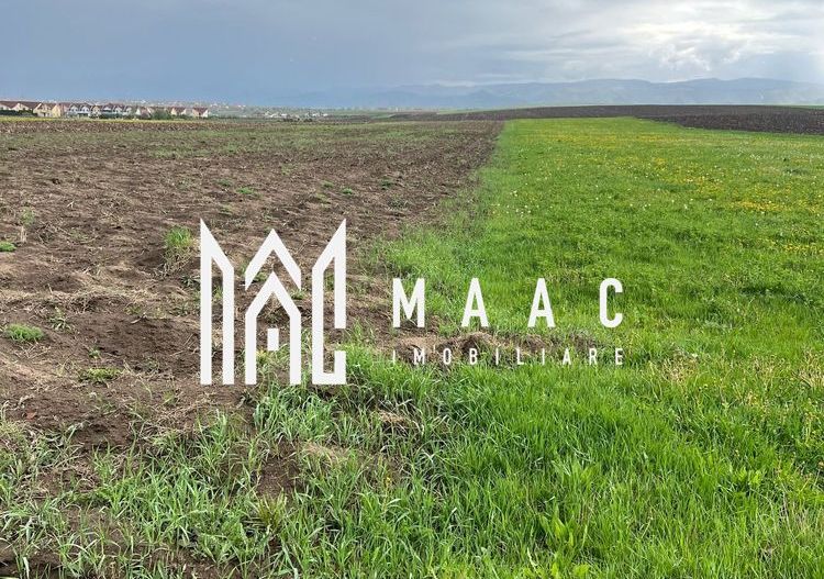 Teren de vanzare | 10.000 Mp | Sura Mica - Poză 1