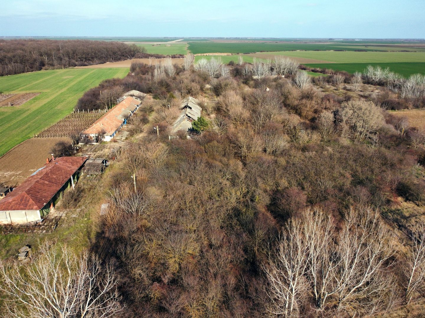 Ferma si livada de meri in judetul Ilfov - Poză 18