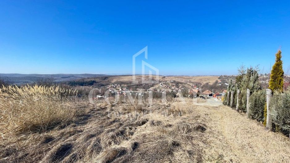 Teren cu potential de investitie 2430 mp si drum de acces - Poză 2