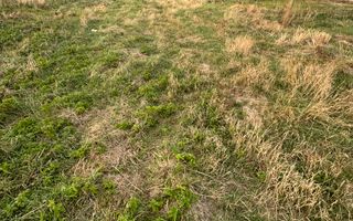 Teren Intravilan Dudestii Noi 646mp,Fs 20m,Utilitatile In Fata Parcelei,Asflat - Poză 3