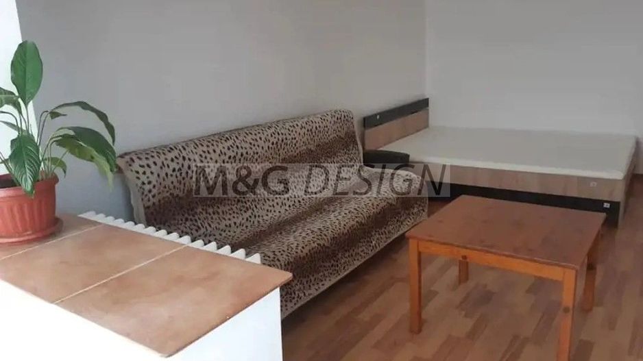 Apartament 1 camera zona Buziasului - Poză 3