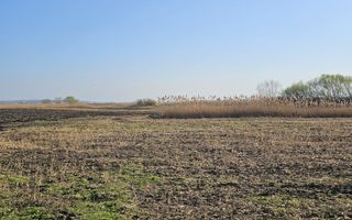 Teren extravilan pentru balastiera Biharia - Poză 4