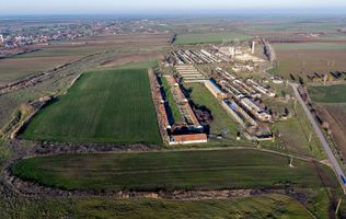 NĂDLAC | Teren 1.15 HA lângă Autostradă | 2.500mp Hale