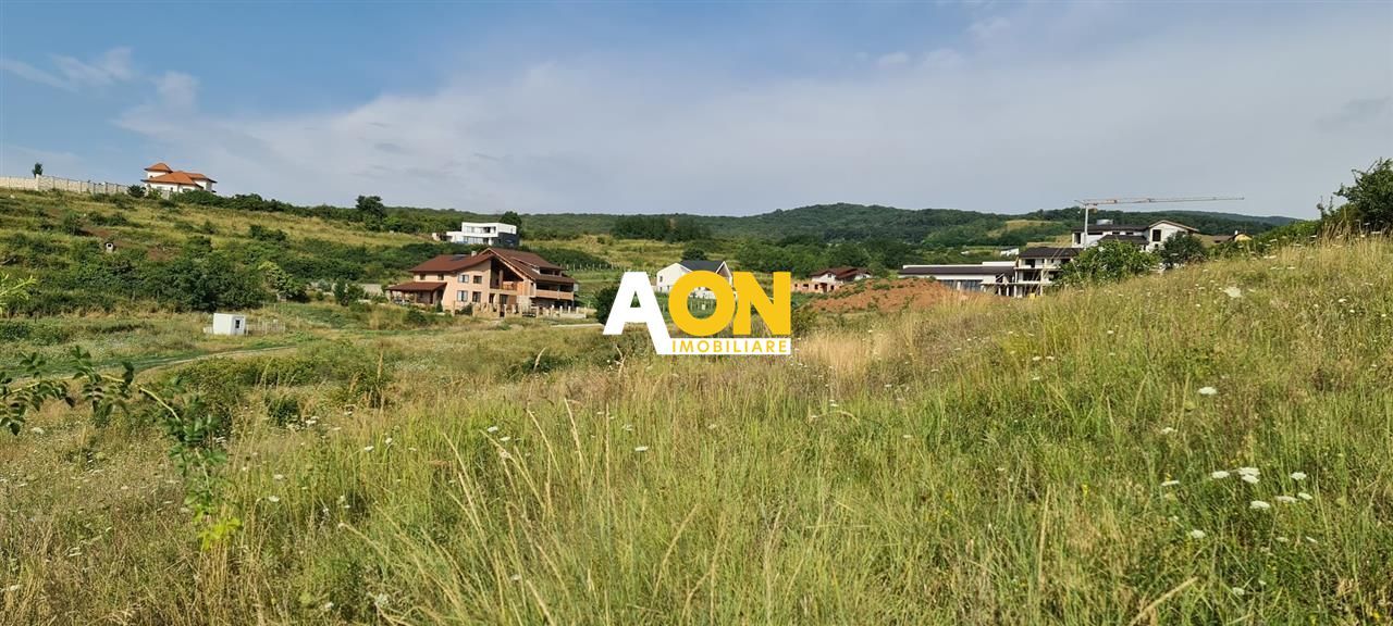 Teren zona Ana AslanCetate Schit - Poză 3