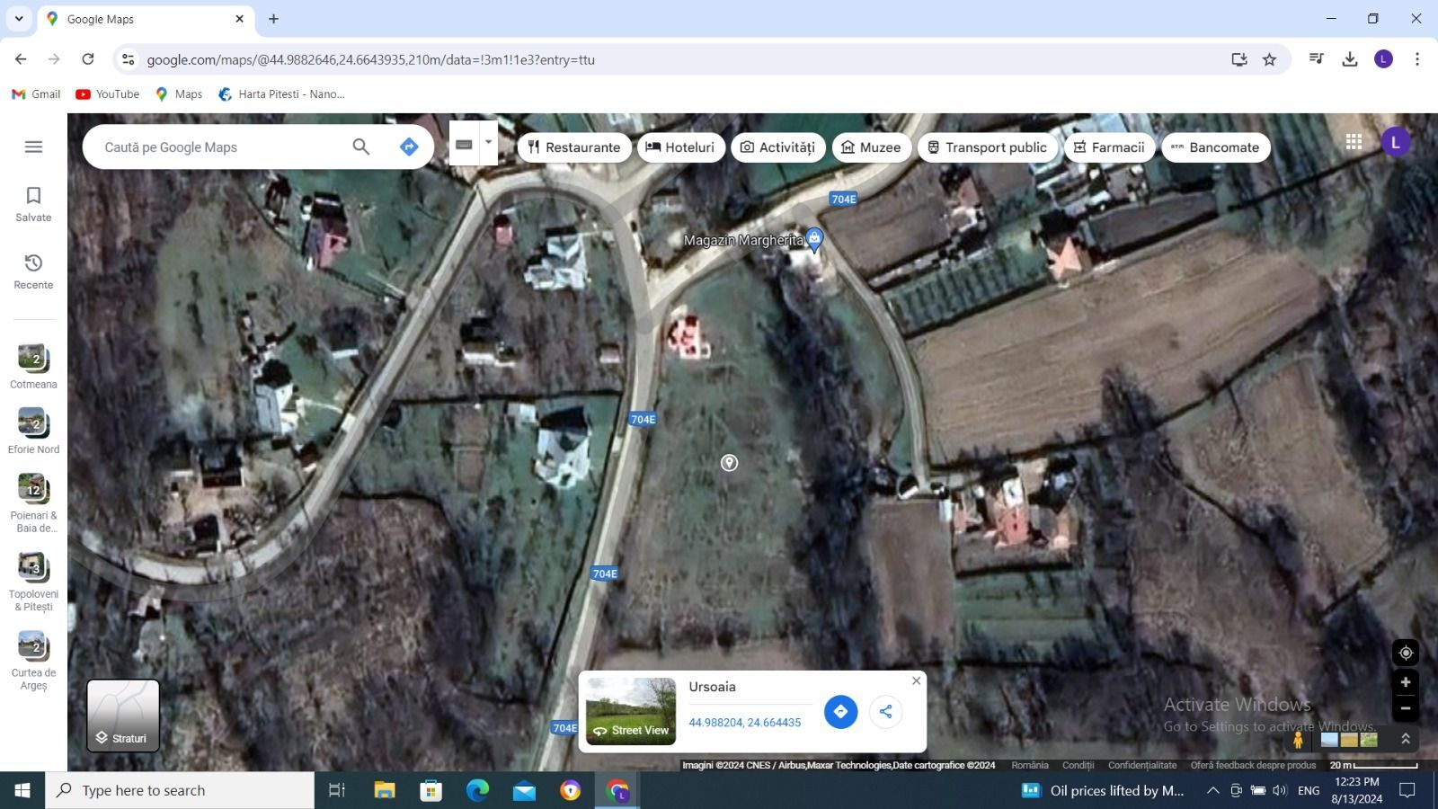 Vanzare teren intravilan, 2000 mp, Cotmeana - Ursoaia - Poză 3