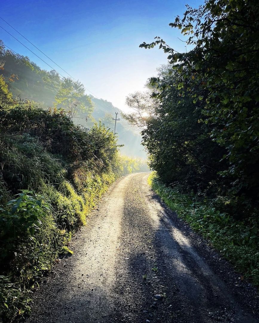 Casă la gri + teren 16.418 mp | Potențial dezvoltare turistică | PUZ - Poză 40