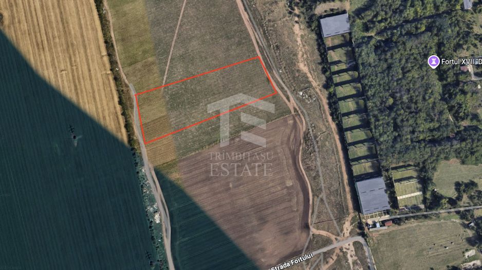 Teren de vanzare Domnești - Str. Narciselor - 20312mp - Poză 2