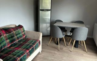 2 camere, modern, Dambul Rotund, Corneliu Coposu, Scoala de Agenti - Poză 4