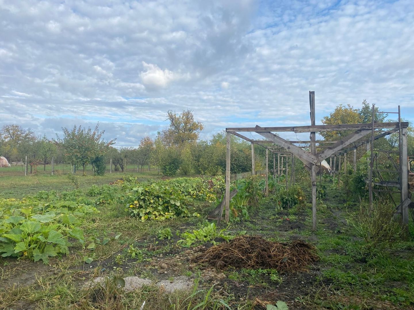 Vanzare casă cu teren generos în Săcueni, la 15 minute de Târgoviște - Poză 13