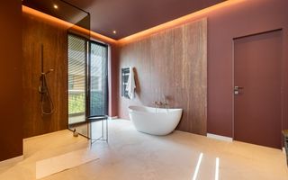 Vila individuala - vanzare - Iancu Nicolae-British School - Poză 32