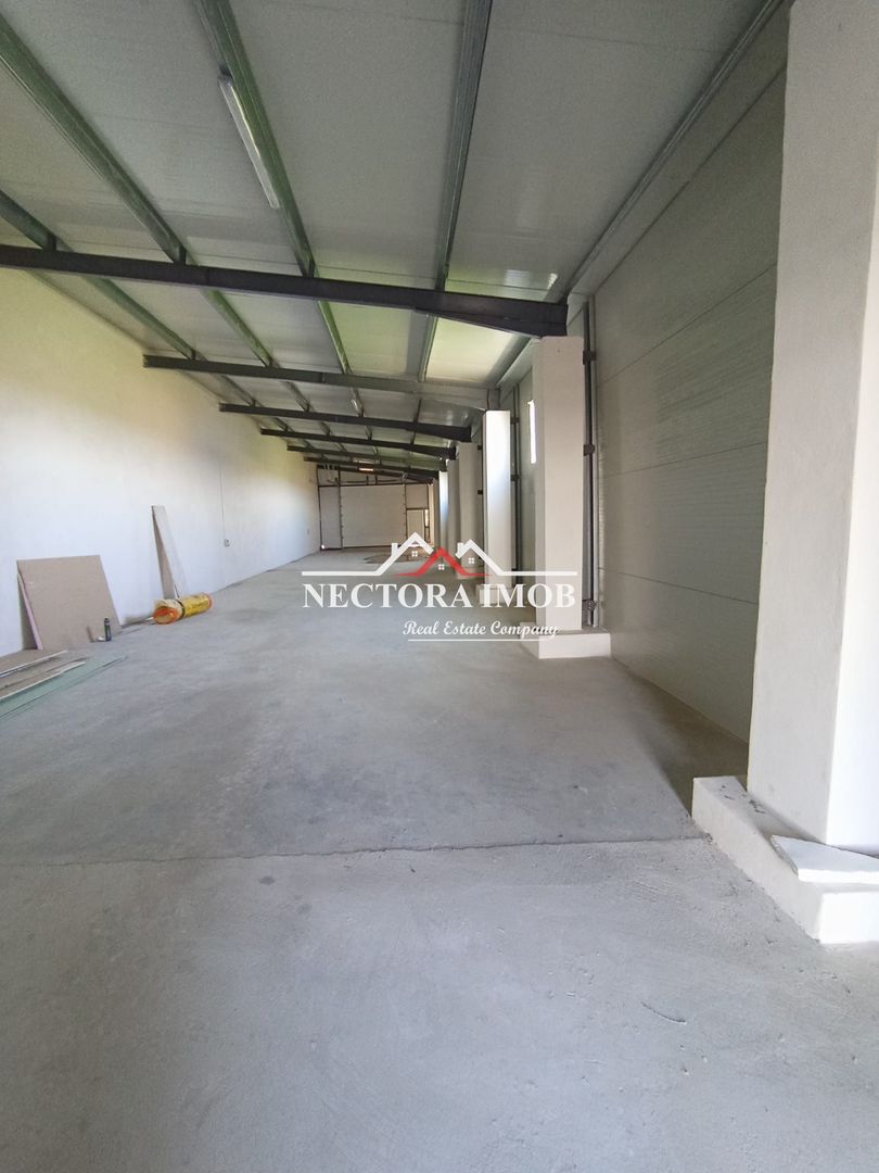 NECTORA IMOB-4 hale industriale noi, Zona Livada de Bihor, Curte mare - Poză 1