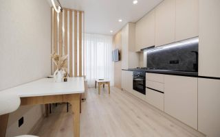 Vânzare, apartament, 1 cameră, strada Băcioii Noi, Botanica - Poză 2