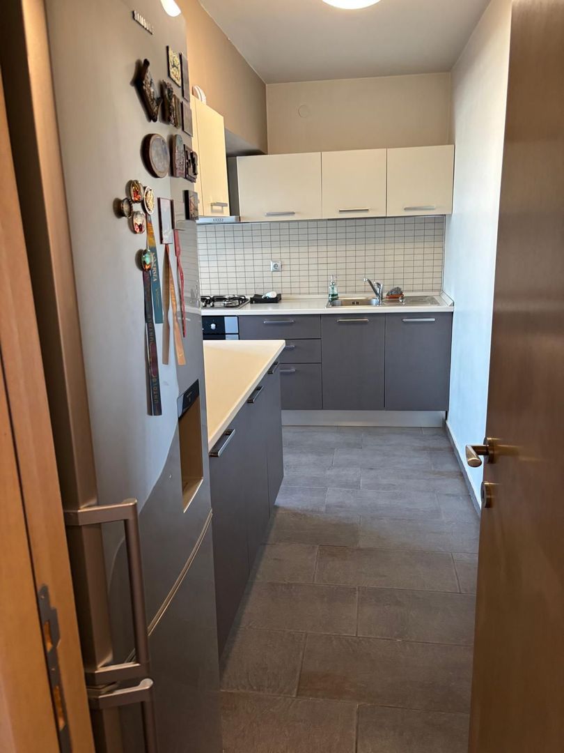 AP 2 CAMERE P-TA UNIRII, PET-FRIENDLY, BUCATARIE INCHISA, MODERN - Poză 8