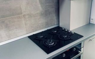 Garsoniera Weiner Palada de vânzare - Poză 8