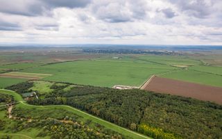 Teren 1584 Hectare pe lunca Mureșului - Poză 2