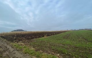 TEREN EXTRAVILAN 13 ARI | FRONT STRADAL 13 M | MARGINEA - Poză 7