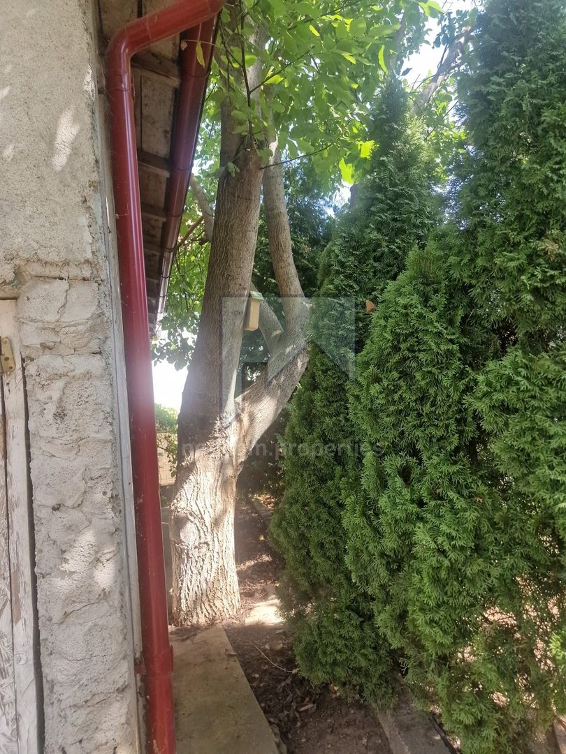 Vanzare Vila S+P+1E+Pod - Adunatii Copaceni - Poză 22