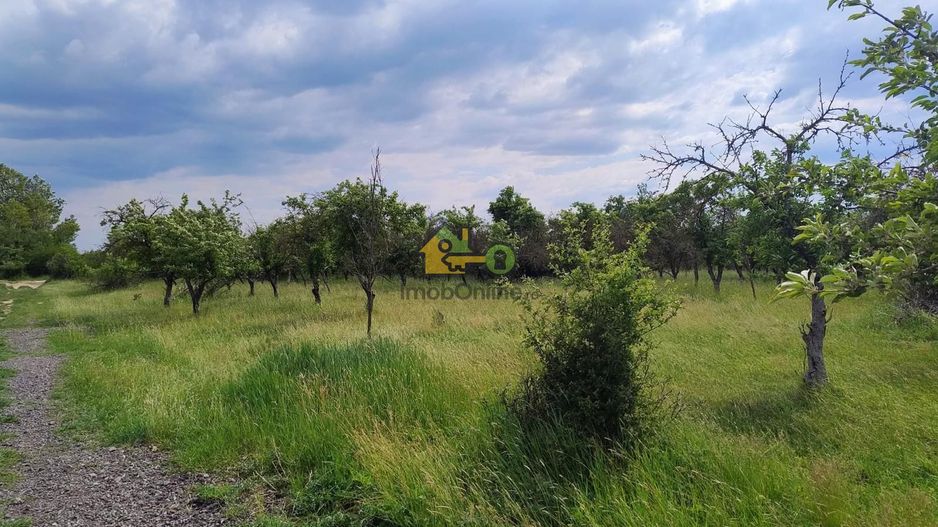 teren intravilan in sag 1271 mp - Poză 2