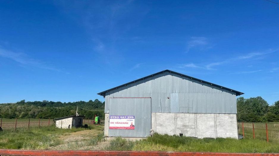 Hala de vanzare Costesti - Poză 1