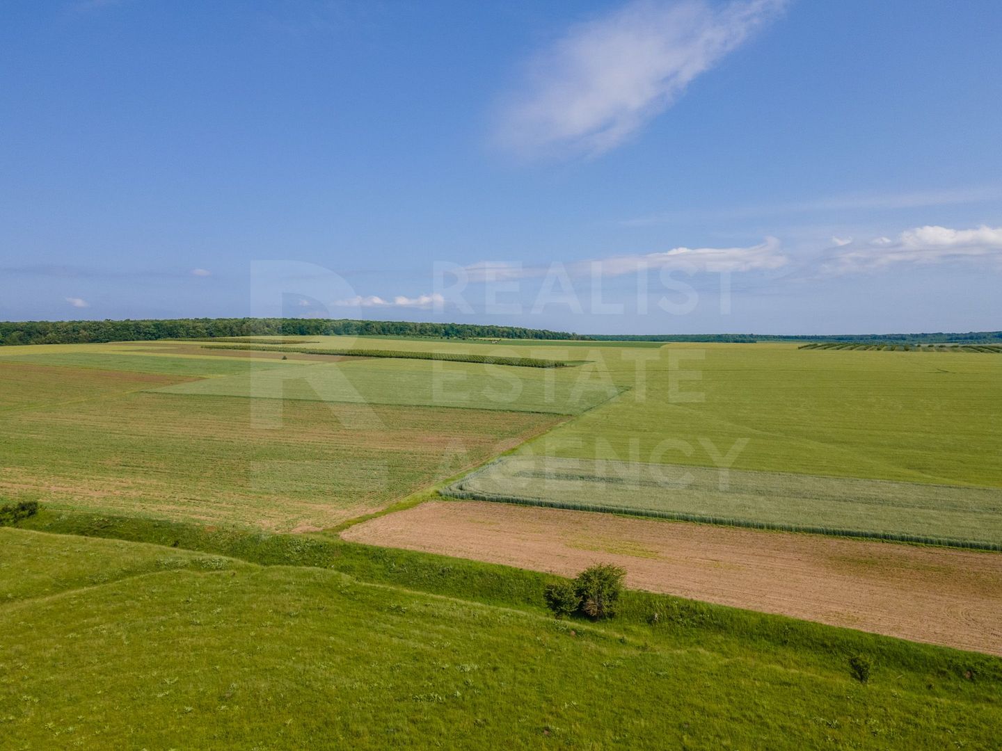 Vînzare, teren agricol, 25,3 ha, s. Peresecina, Orhei. - Poză 6