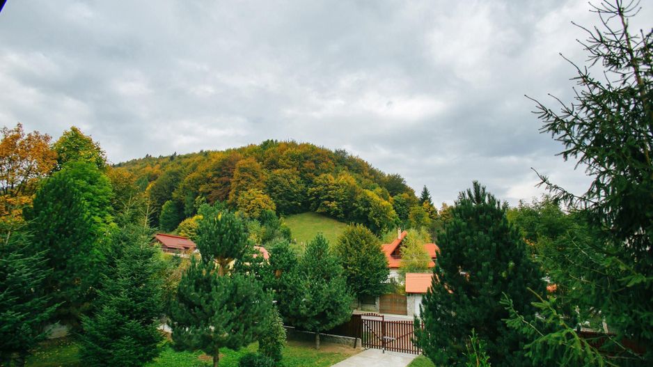Pensiune superba Sinaia - Poză 10