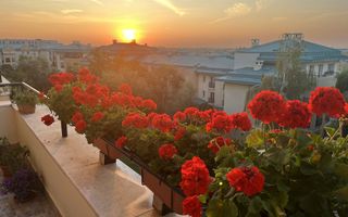 3 camere de vânzare | Cosmopolis | Terasă | 2 locuri parcare - Poză 12