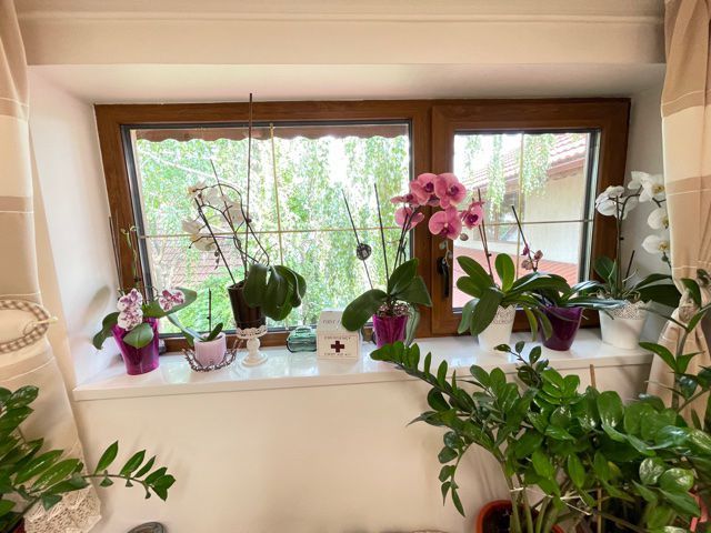 CASA ZONA MEHALA CU SPATIU COMERCIAL - Poză 12