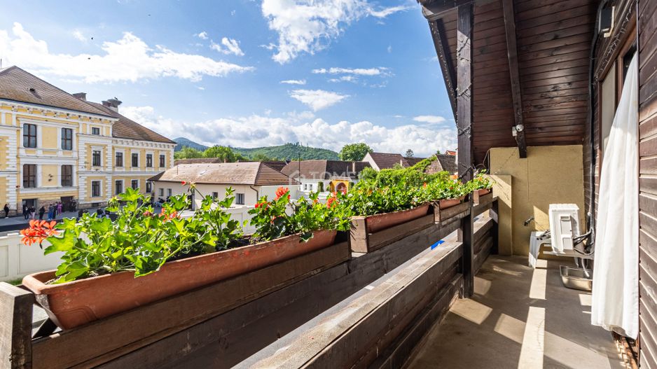Pensiune/Vila turistica /cazare muncitori in Cristian Brasov - Poză 42