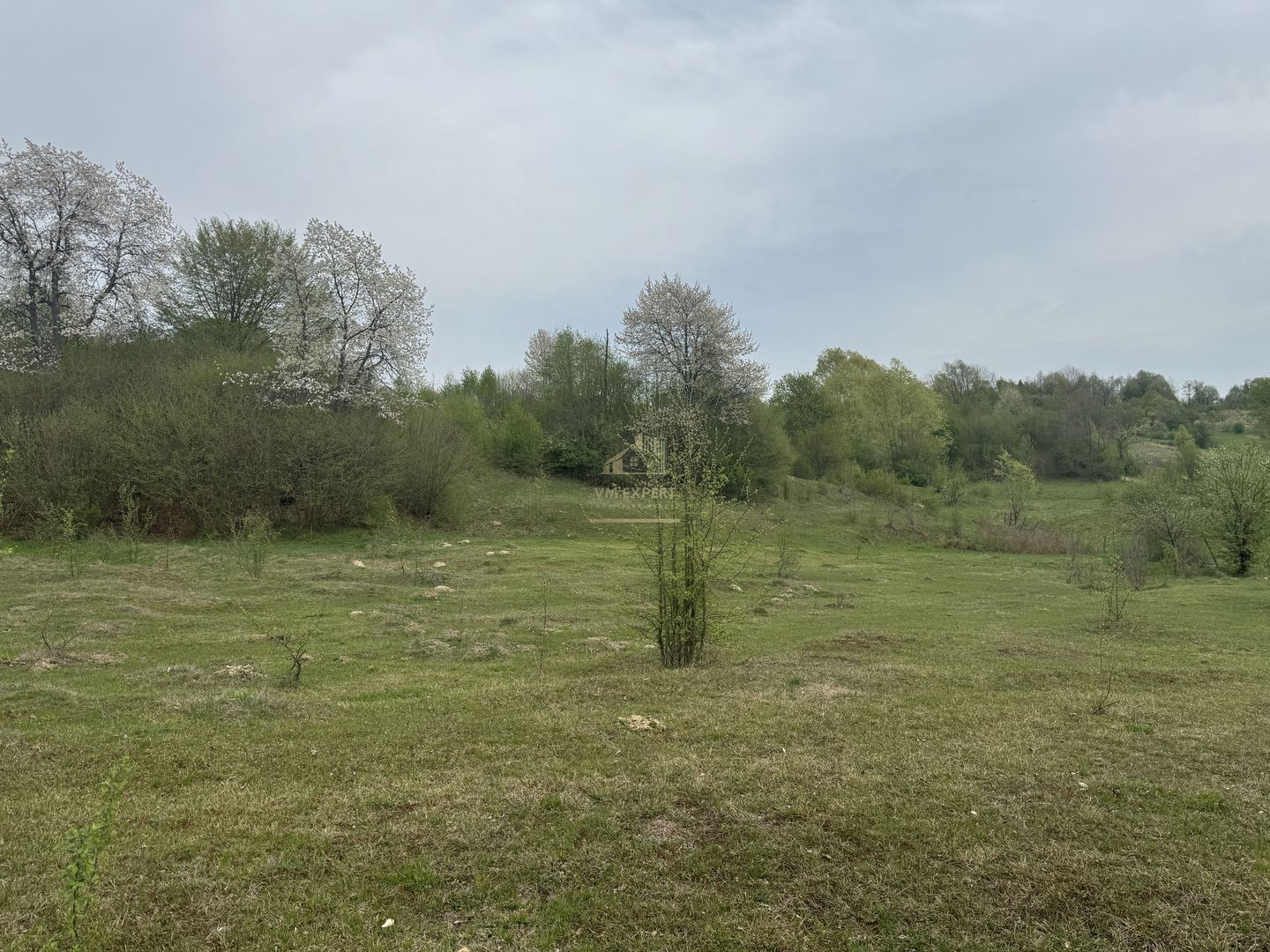 TEREN EXTRAVILAN 40000 MP, ALBESTI DE MUSCEL, CANDESTI - Poză 1