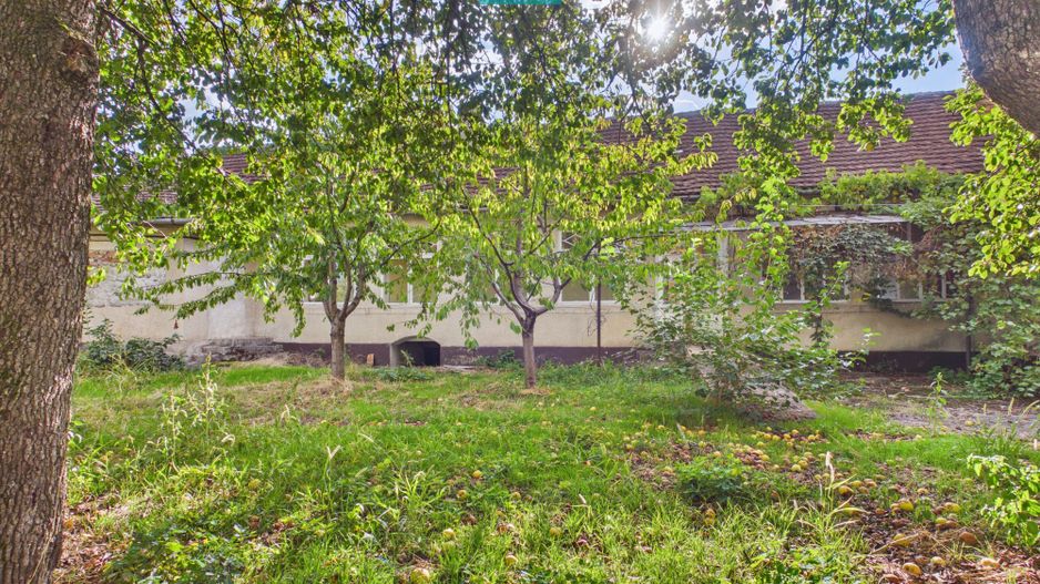 Casă cu teren de 1800 mp, în Buteni, Arad - Poză 3