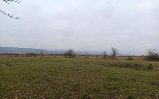 Teren 19611 mp (1,96 Ha)-ideal agricultura, investitie-Zona Aerodrom - Poză 3