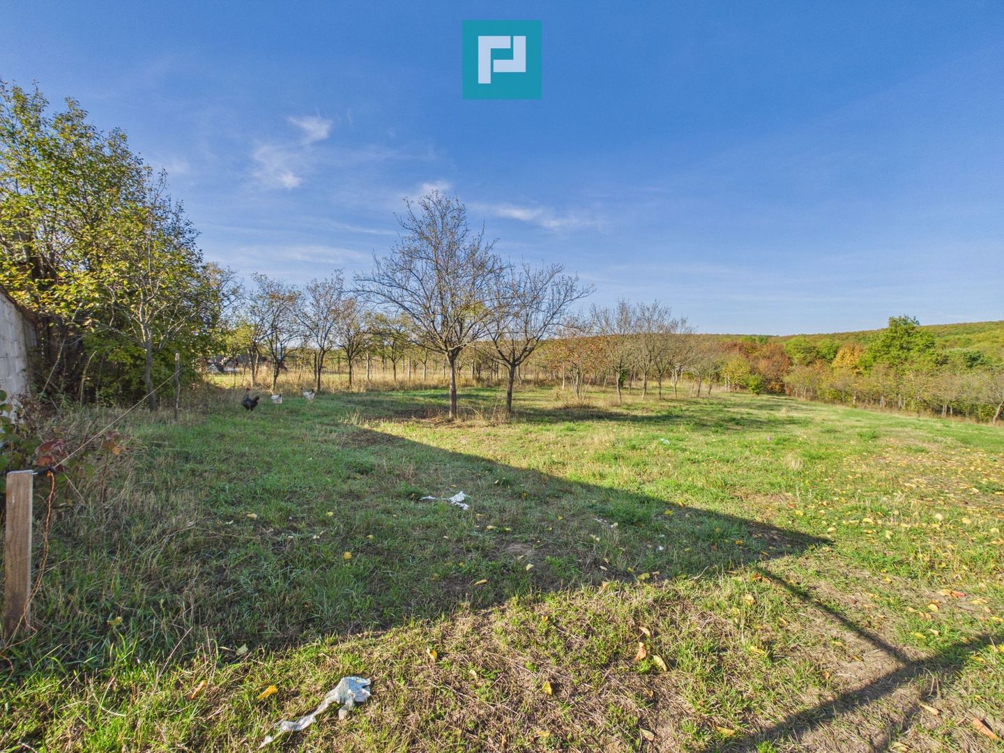 Casă în Șumugiu, teren 2.610 mp - Poză 8