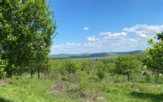 Teren premium 1000 mp-Sibiel - Poză 3