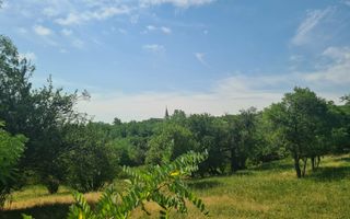 Teren | 12.922 MP | Loamneș - Poză 3