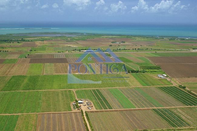 TEREN DE VANZARE - Poză 2