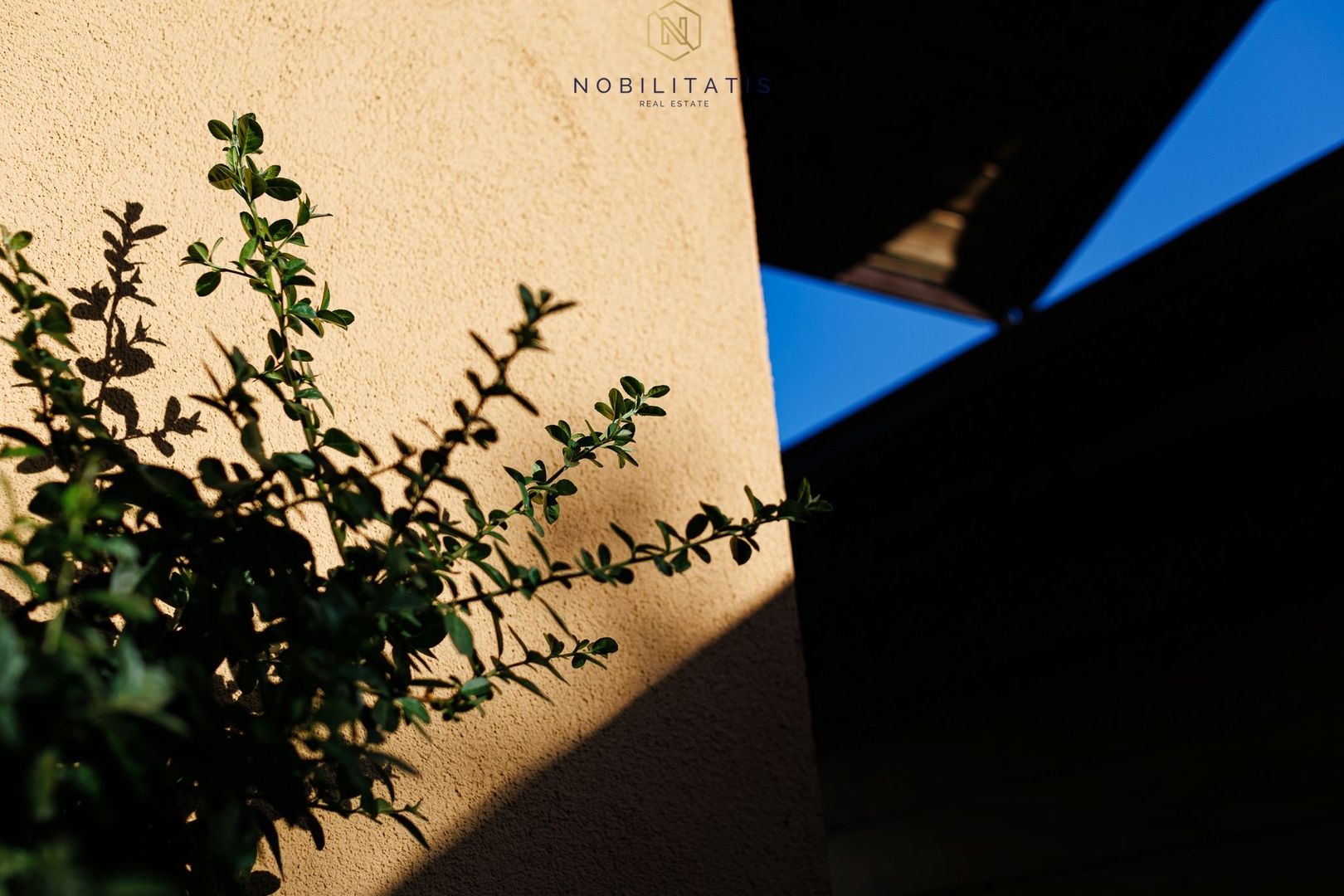 Oferta inchiriata - Casa individuala Dumbravita - Poză 32