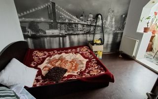 Ap cu 3 cam D Nicolina Selgros - Poză 8