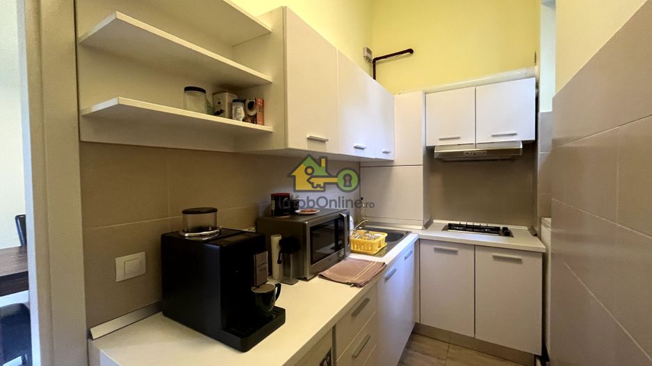 Apartament,  2 Camere, 110 Mp., Etaj 1, Take Ionescu - Poză 16
