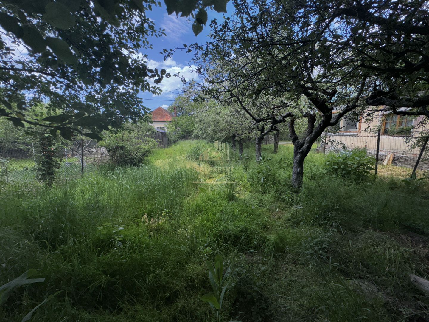 CASA CAMPULUNG, 128 MP, TEREN 639 MP - Poză 18