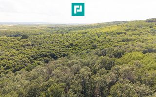 TEREN AGRICOL EXTRAVILAN  22.900 MP LIPOVA - Poză 12