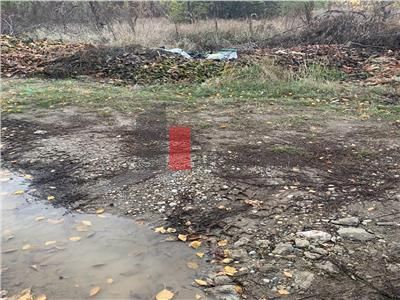 Vanzare  Teren  Pipera - Poză 3