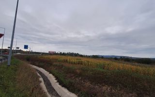 Teren | Extravilan | 4.720 Mp | Selimbar - Poză 2