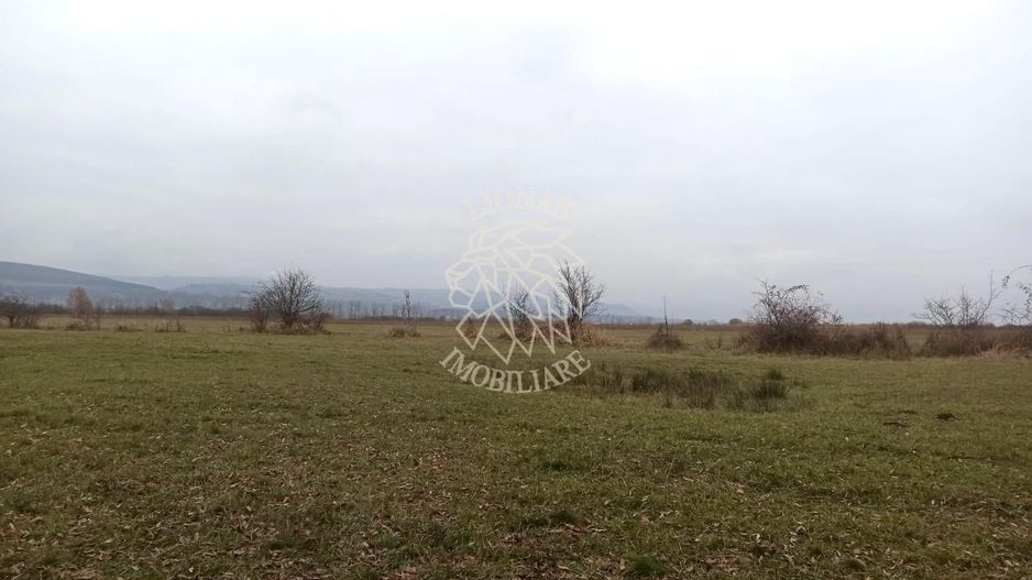 Teren 19611 mp (1,96 Ha)-ideal agricultura, investitie-Zona Aerodrom - Poză 1