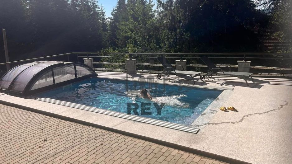 Casă de vacanța / Vilă în Păltiniș cu piscina acoperită și încălzită - Poză 1