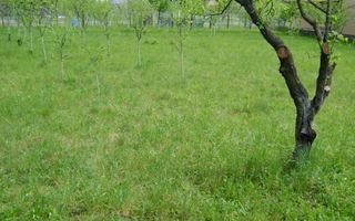 Teren de vanzare in Cornu 1183 mp - Poză 7