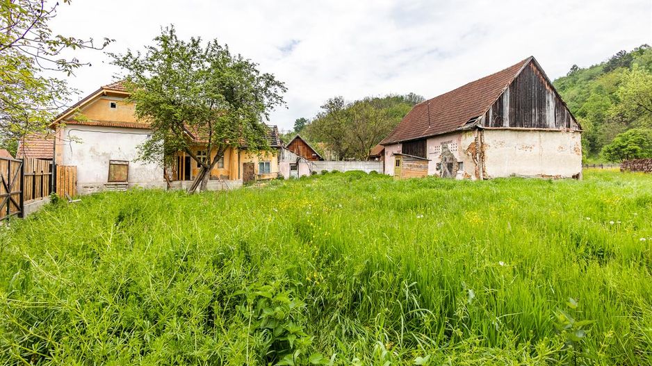 Casa traditionala + 8.500 mp teren, intravilan, Sinca Noua, Brasov - Poză 12