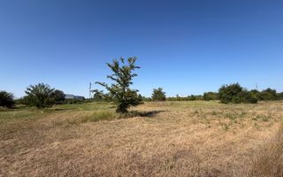 Terenuri pentru dezvoltare rezidentiala. Ghiroda - Drimoland - Poză 2