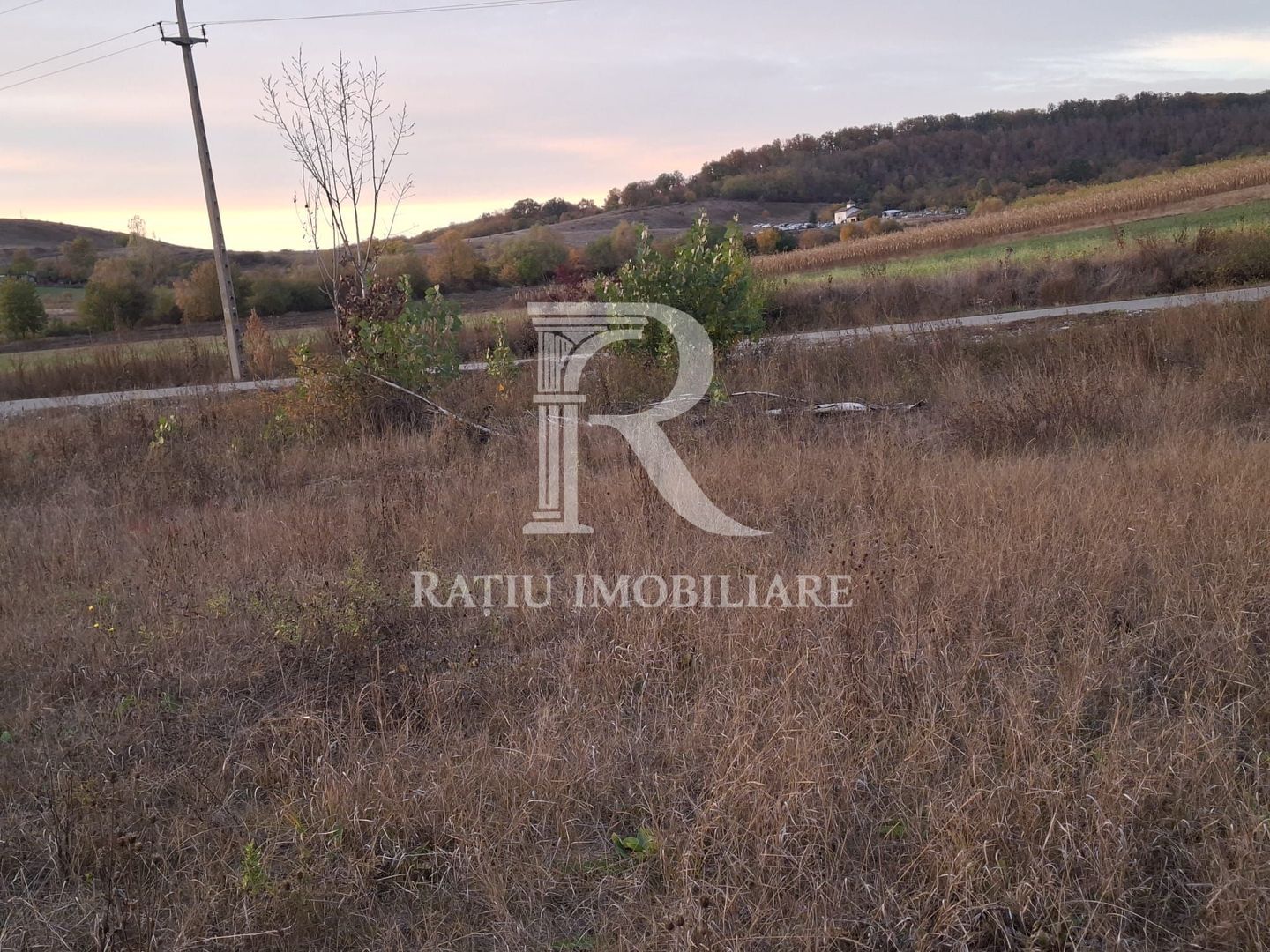 Teren extravilan | 3400 mp  | Hidiselul de Sus | Oradea | Bihor - Poză 2