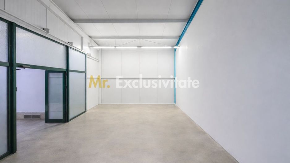 HALA INDUSTRIALA 595 MP | DN 65B – BRADU | CURTE 1.466 MP | AUTOSTRADA - Poză 6